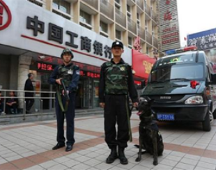 駐?？谌f綠園停車場(chǎng)安保服務(wù)